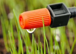 Drip irrigation